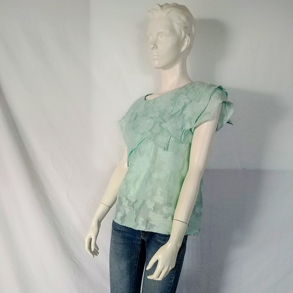 Wren Bib Front Embroidered Silk Top - Picture 7 of 8